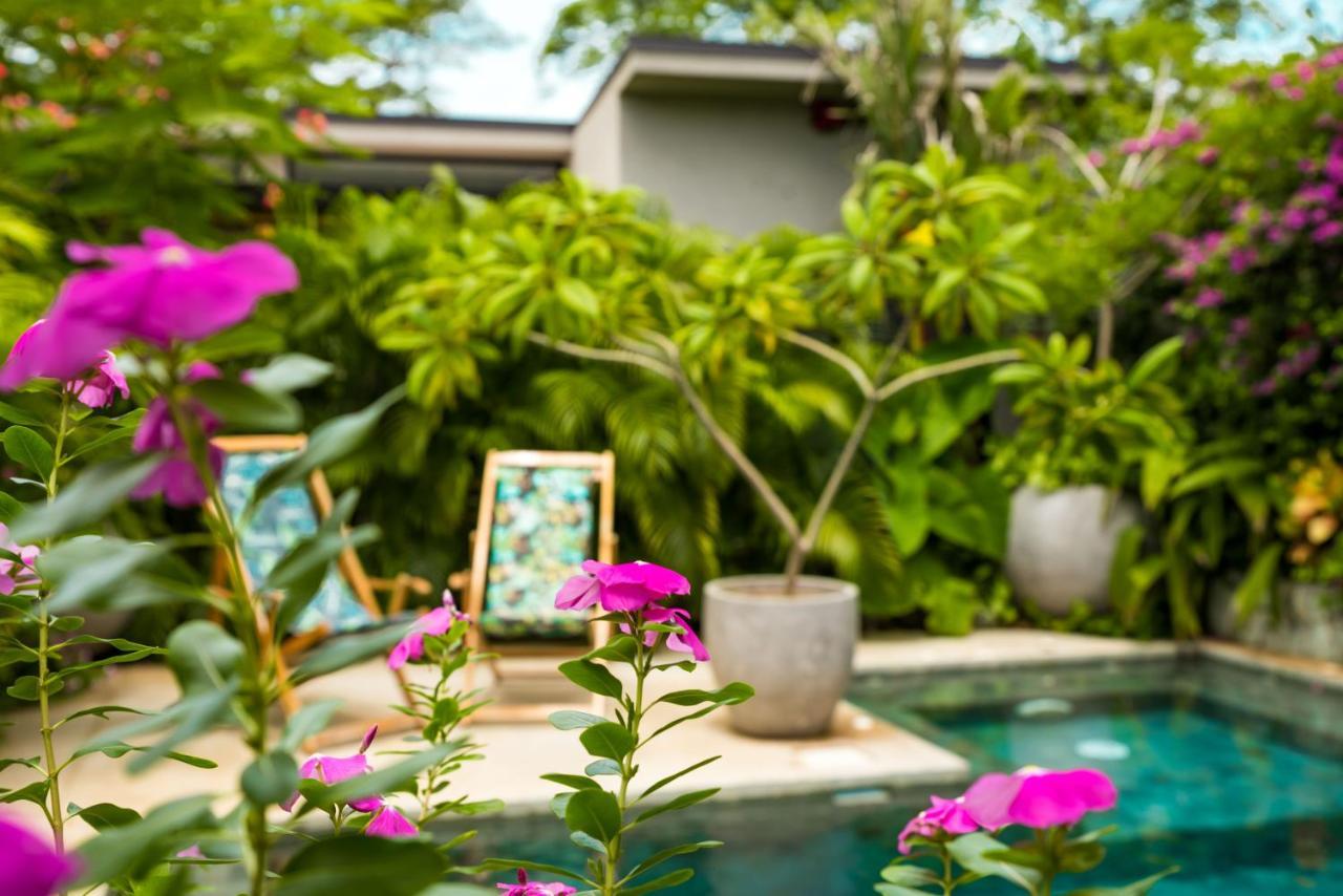 Zen Garden Tamarindo - Adults Only Hotel Eksteriør billede